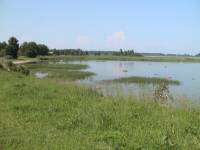 Estonia