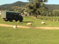 Romania (1)