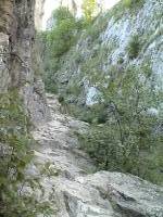 Romania (2)