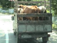 Romania (2)