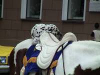Ukraina (1)