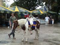 Ukraina (1)