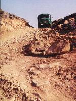 wadim.jpg (10587 Byte)