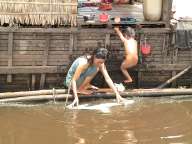 Cambodia - Loading ...
