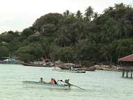 Koh Tao - Loading ...