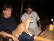 Koh Tao - Loading ...