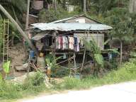 Koh Tao - Loading ...